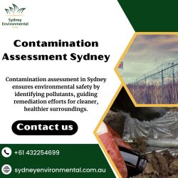 Contamination Assessment Sydney Meme Template