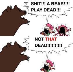 Bear Play Dead Meme Template