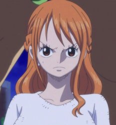 nami piss Meme Template