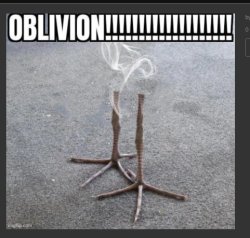obivian Meme Template