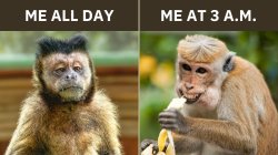 Me all day VS. 3 AM Meme Template