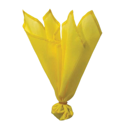 NFL Penalties flag Meme Template