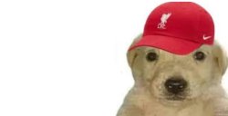 Liverpool Meme Template