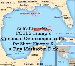 Gulf of Mexico Meme Template