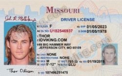 Thor drivers license Meme Template