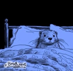 ferret in a bed Meme Template