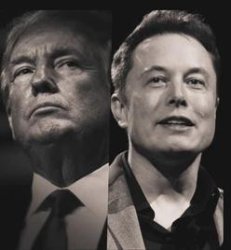 Donald Trump and Elon Musk Meme Template