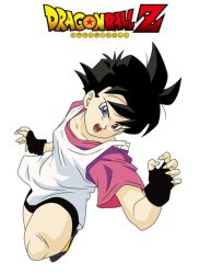 videl Meme Template