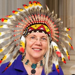 pocahontas warren Meme Template