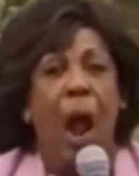 Angry Maxine Waters Meme Template