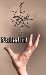 Nailed it Meme Template