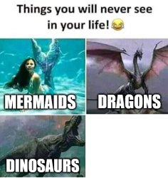 things you will never see Meme Template
