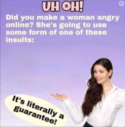 Did you make a woman angry online? Meme Template