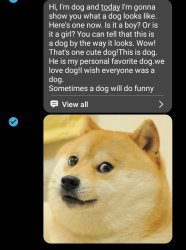 Crazy texts, that I get. There's another part to the dog Meme Template