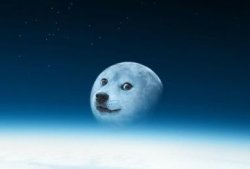 Dogemoon Meme Template