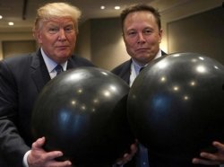 Trump Elon balls Meme Template