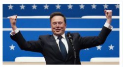 Elon Musk Meme Template