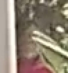 Creeper Meme Template