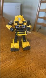 Bumblebee Meme Template