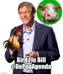 Bill Gates depop agenda Meme Template