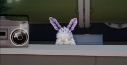 bnuuy reporter Meme Template