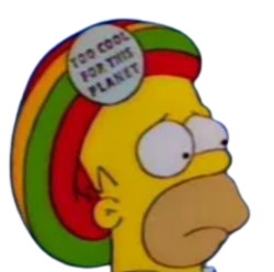 Homer Simpson Jamaican Hat Meme Template