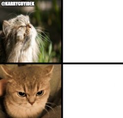 Cat Happy And Cat Sad. (@KARRYGUYIDEK) Meme Template