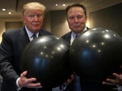 Trump Elon Big Balls Meme Template