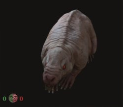 mole rat Meme Template