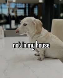 not in my house Meme Template