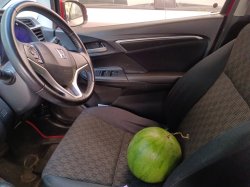 Watermelon driving (save and edit to use the meme) Meme Template