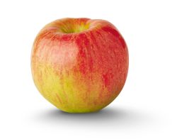 Apple Meme Template