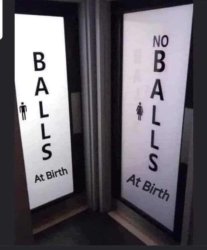 Balls at birth Meme Template