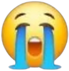 Crying Emoji Meme Template