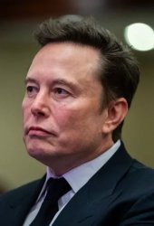 Elon looks like a frog Meme Template