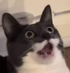 mios dios! Meme Template