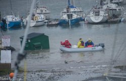 DumpsterRescue Meme Template