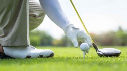 golf tee Meme Template