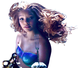 halle mermaid Meme Template