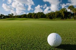golf Meme Template