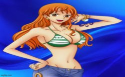 nami Meme Template
