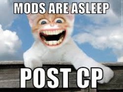 Mods are asleep post cp Meme Template