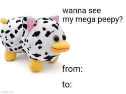 wanna see my mega peepy? Meme Template