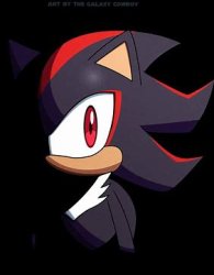 Shadow The Hedgehog Stare Meme Template