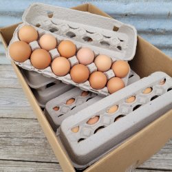 Eggs Meme Template