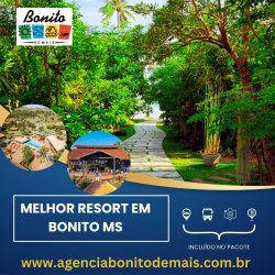 Melhor Resort Em Bonito MS Meme Template