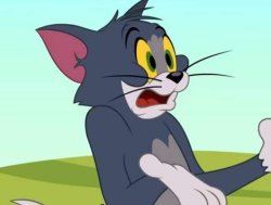 Tom Meme Template