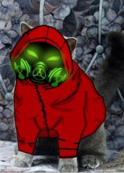 Can Psychro has something Meme Template