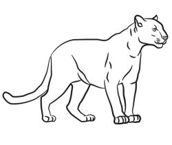 blank jaguar Meme Template