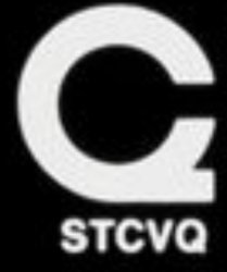 STCVQ (Paramount/Universal/WB/Disney/MGM) Meme Template